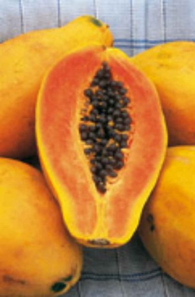 200 gramas de Sementes de Mamão Papaya IAC